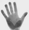 handmade pages - Bild von einer Hand - zur Startseite
